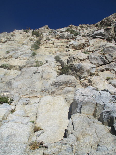 Riders on the Sun (3 pitches 5.9). The line goes between the vegetation. Aim for the notch formed by jutting thumb-like feature at the top of the route. Mostly easy 5th class, but with a stout crux on each pitch. Some loose rock (less than there was when we got there!)