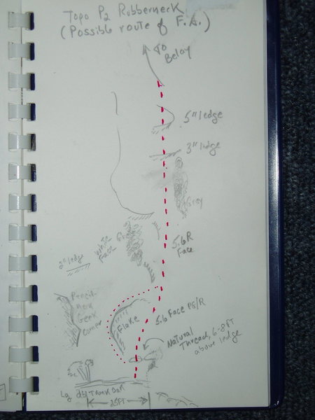 P2 Topo for Rubberneck, as described in text.