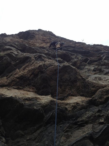 Near the bottom.