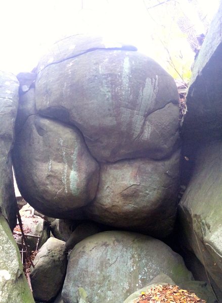 Sumo Wrestler