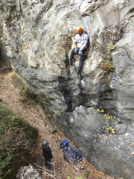 Noah Leading the bottom section