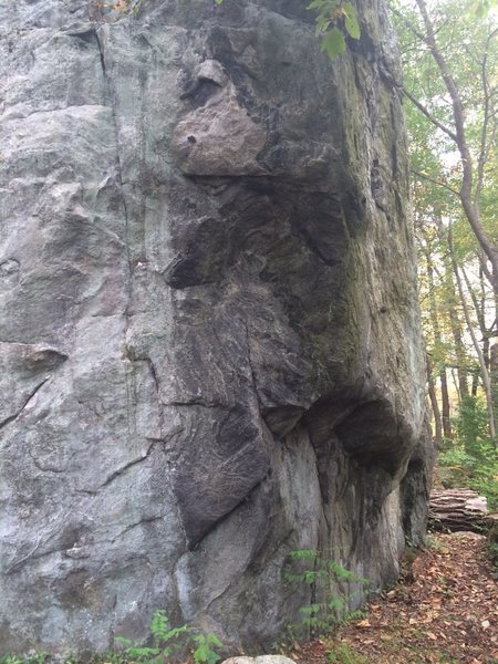Glacial Erratic - One of the sides of the giant boulder with potential V6+ problem. Not really sure though since I'm new to climbing. Picture does not show top of boulder which is about 20 feet from floor.