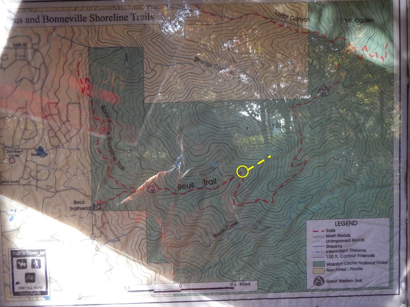 Here is the trail map. Cut up and continue following the stream where the regular trail goes west and out to the south ridge.