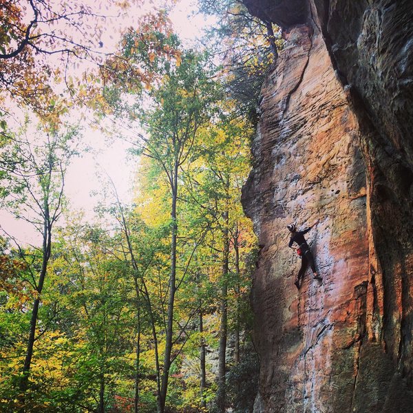 Loved this fantastic climb at RRG. A sweet diversion from the pumpy overhung standard! A classic climb and a must do.
