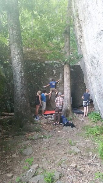 Beta Photo