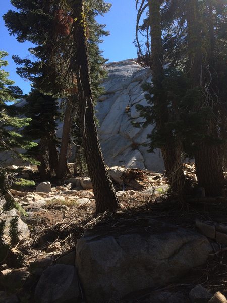 Full route can be seen between the trees. Head up the slab to the hand crack with the bush in it. Trend left to the ledge atop the flake. A few slab moves into an easy crack to the top.