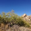 Cap Rock and a touch of color, Joshua Tree NP