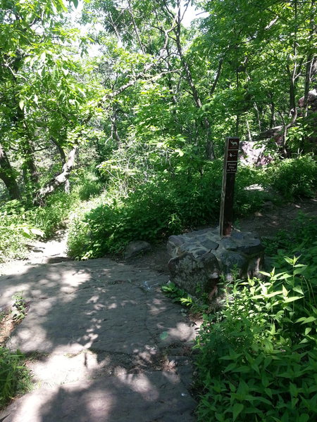 Approach from top: Hike up Balanced Rock trail to top where it meets the East Bluff Trail. Hike North until you see this trail maker and the trail cuts right. Go straight and follow this footpath for a 100 yards or so until it drops you into a talus field. Barking Spiders and Spirit Fingers are to your left, Wildwood is straight ahead.