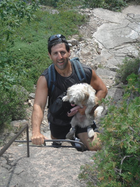 Climbing Jordan Cliffs Trail Acadia National Park with dog in tow. Note her doggy socks.