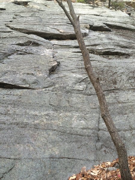 P1 of Keystone Kop. Straight up to lip, exit to the right of the lip and then diagonals on slab to the left to the second of two pine trees below a corner.