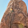 Natalie Duran out for a solo on Planet X Pinnacle 
