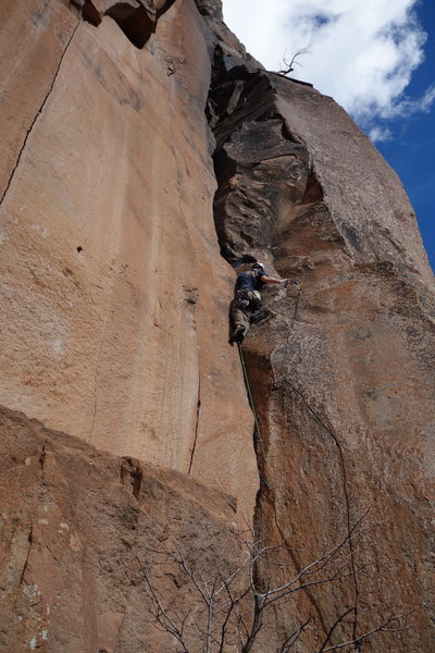Ian in the middle of the business on the Obelix pitch.