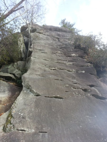 Handcrack up high in photo.
