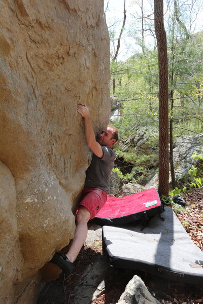 Shawn working 'Leopard Larvae'