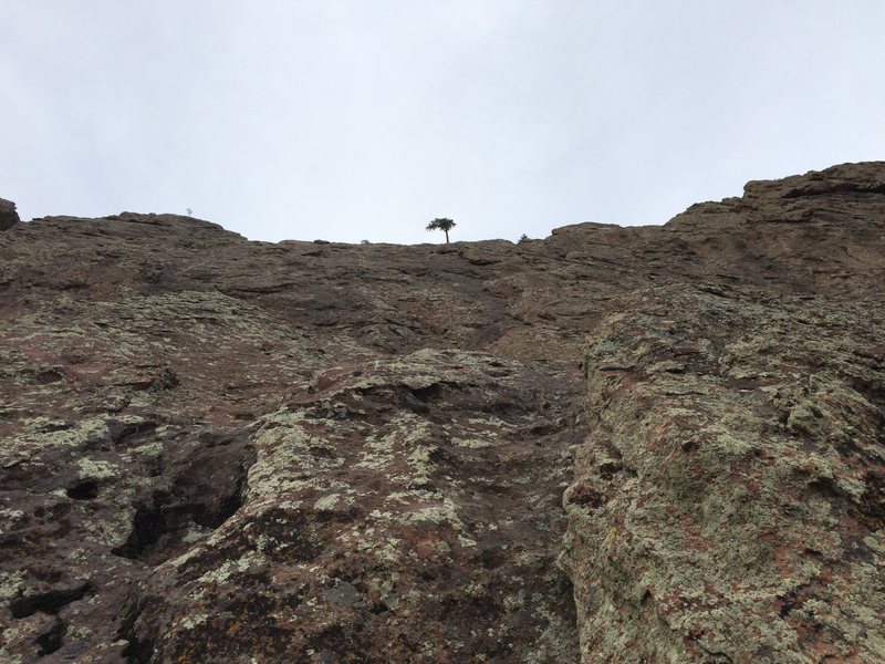 Follow the tree (that you can only see for the last couple hundred feet).