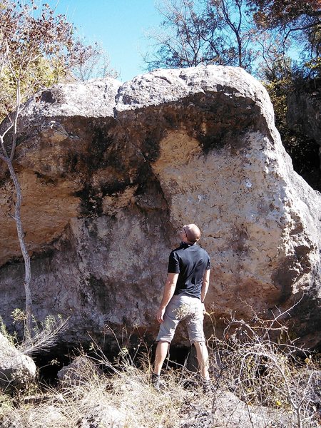 Alex looking at A possible future boulder route that was previously bolted at the top at san gabrial walking trail.