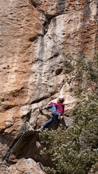 Tamara H. rolling out the roof.
<br>
<br>
Wade Forrest Photo