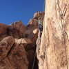Stacy Otto on Shattered 5.10c Joshua Tree.