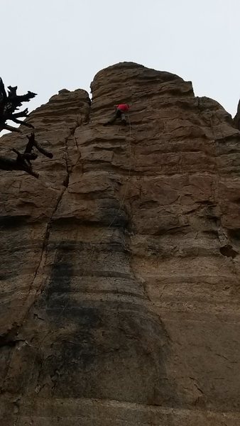 Christian on Honker