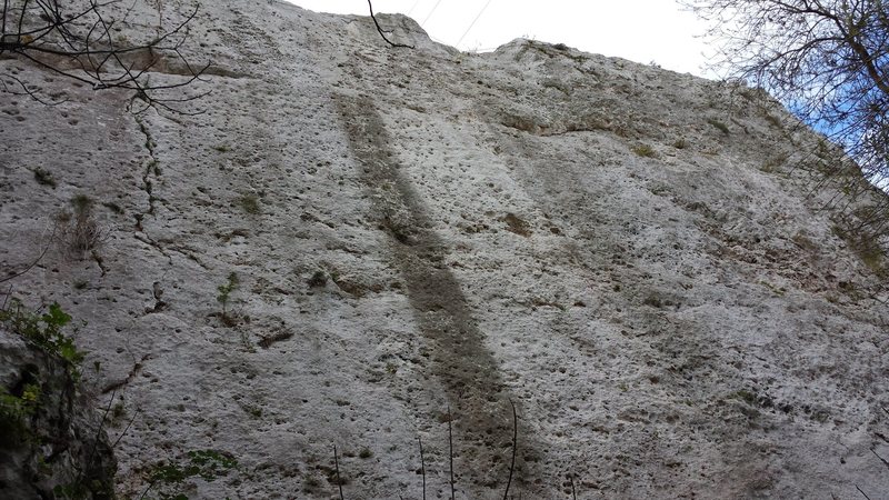 Looking up from the foot of Brucoli crag. Down in a muddy riverbed.