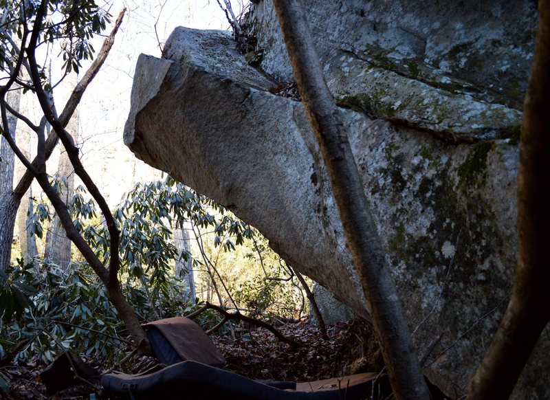 Sarene Arete