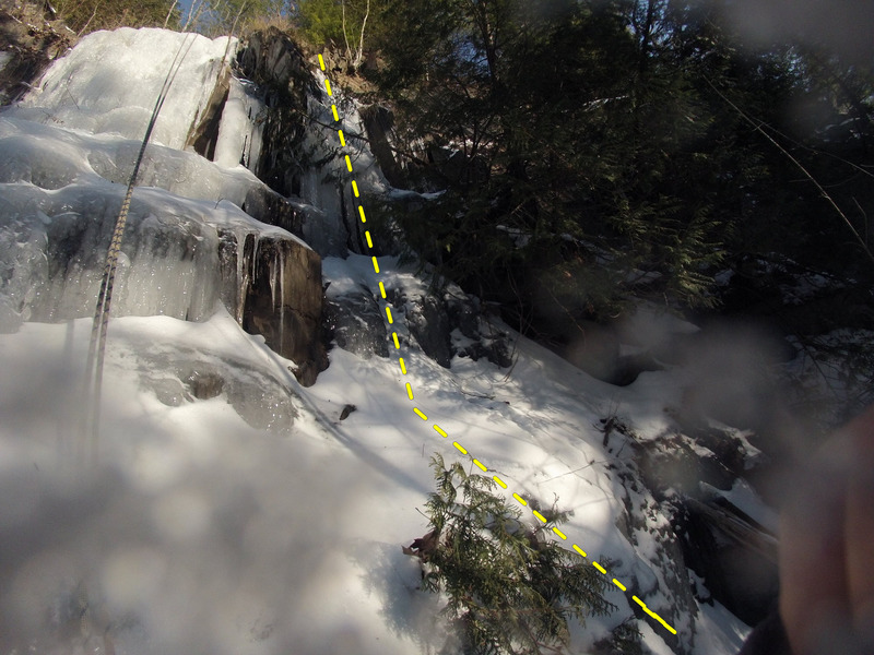 The right side has a separate line hidden behind the cedar tree, and a smear on the far right.