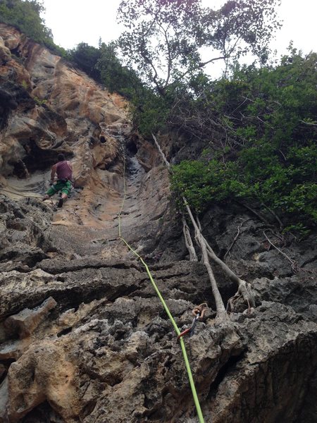 nearing the top (groove tube is on the right with the green rope)