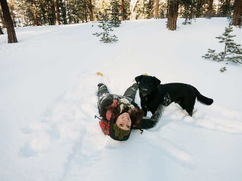 Mount Charleston Snow Days with my dog Chaco