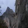 Climber on Treasure of the Sierra Madre