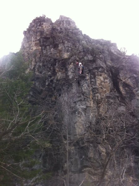 View from the trail if you pass the bridge
