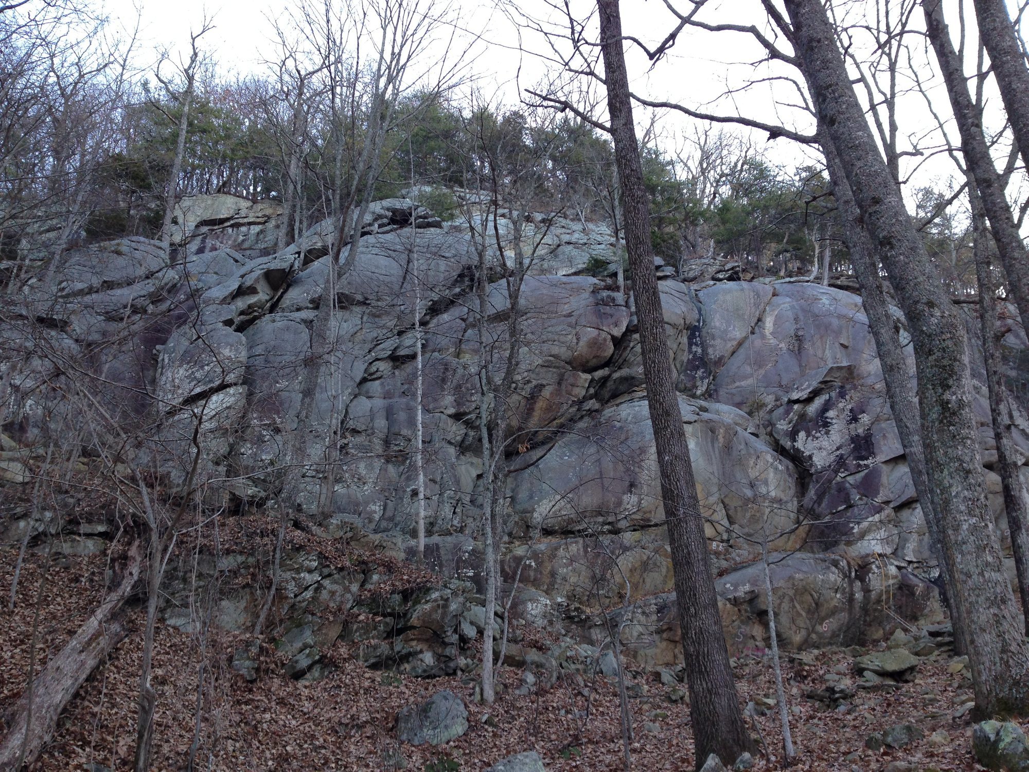 Topo view of the Lowers at Mt Yonah
