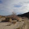 Upper Coyote Canyon, Anza Borrego State Park