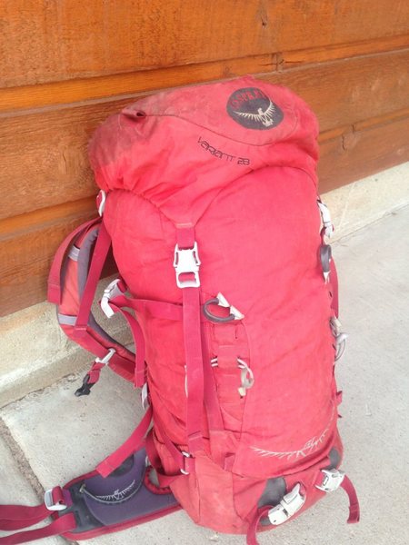 jumping spider plush backpack