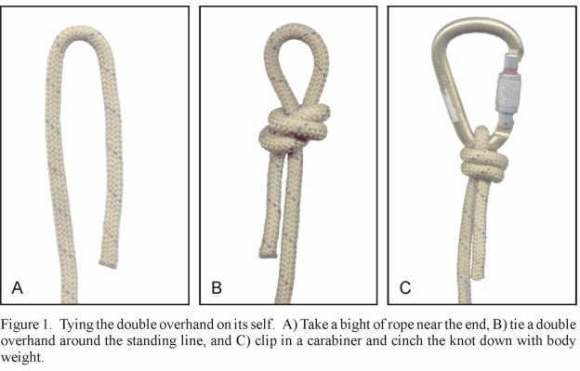 scaffold knot