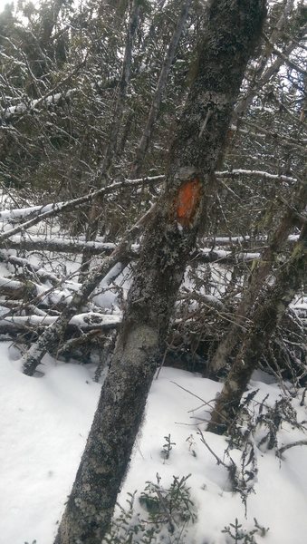 Red marker on the trail.