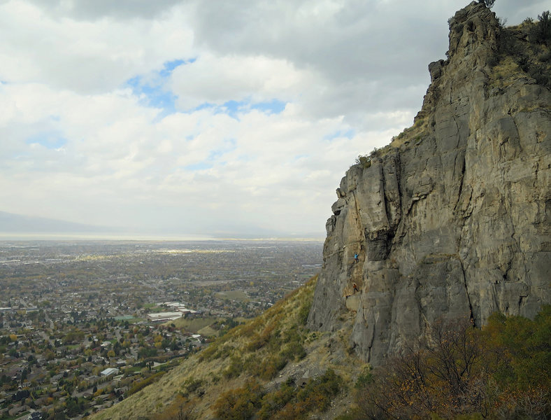 Most of the southfacing wall.