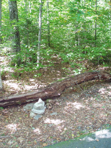 The Correct W-G "UP" trail
