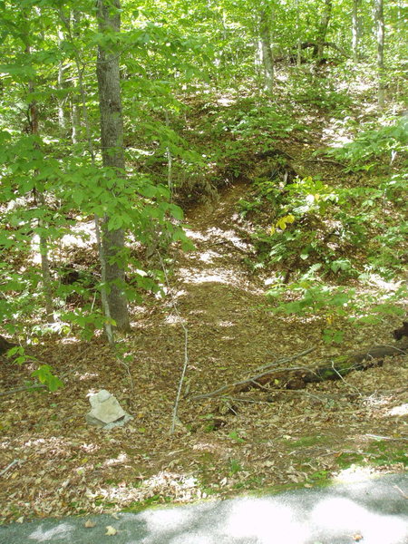 The W-G DOWN trail at the intersection with the bike path