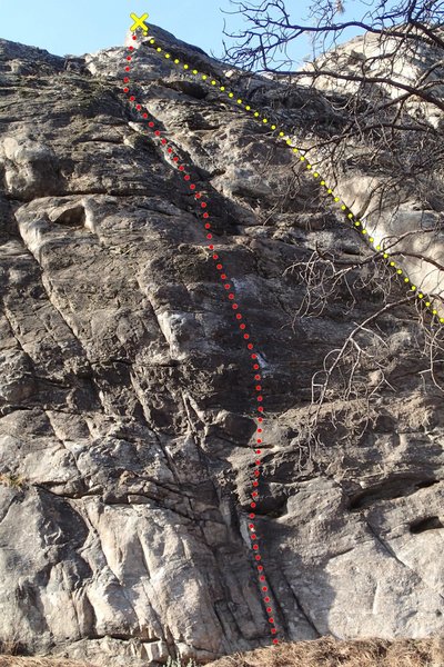 Low Hanging Fruit topo