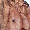 Kathy Yaniro on Iron Lung (5.11+), Leslie Gulch<br>
<br>
Photo by Rudy Hofmeister