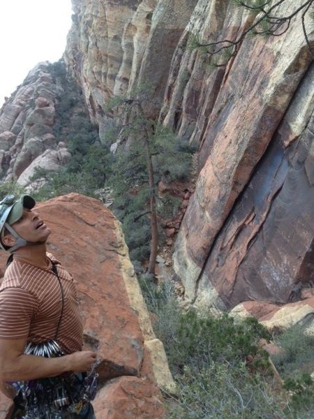 You can see the large pine tree which is directly above the descent gully.