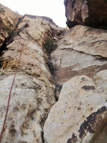 Looking up at pitch 1.