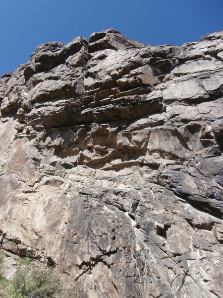 South Face of Predator Wall. A easy to follow trail takes you there from the desert floor