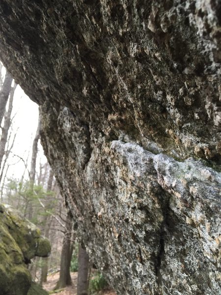 the crimp rail