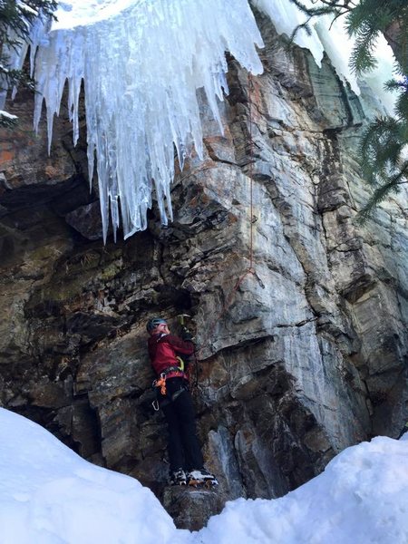 Jenny Antin starting up a well-formed mixed line at Moffat.