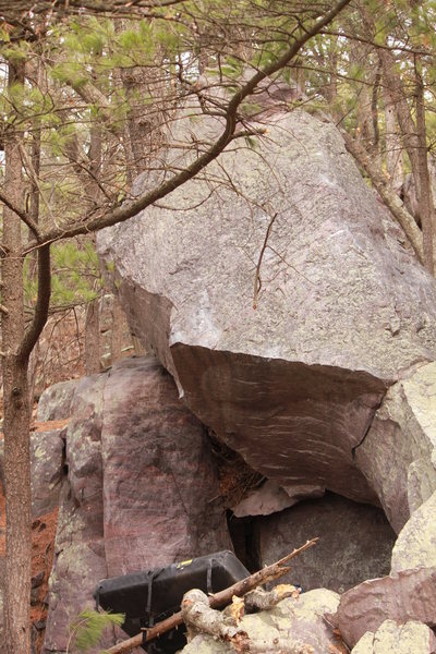 The top