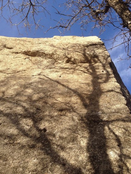 Unnamed V4