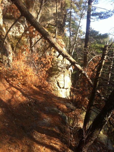 Start of the route is just past the fallen tree, coming from the rusty ring area and heading towards the Amphitheater Wall.
