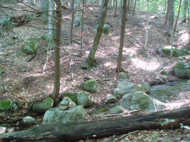 Cairn at stream crossing. Path goes pretty much straight up the middle of the photo. (Note tape on tree)