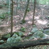 Cairn at stream crossing. Path goes pretty much straight up the middle of the photo. (Note tape on tree)